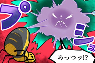第８話 ミイデラゴミムシ 표지
