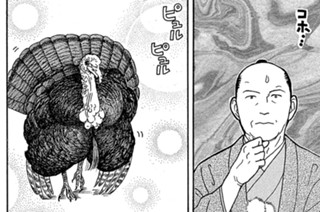 その２０４ 표지
