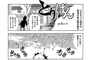 第８２０羽 표지