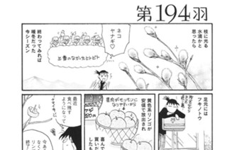 第１９４羽 표지