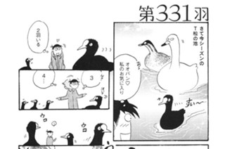 第３３１羽 표지
