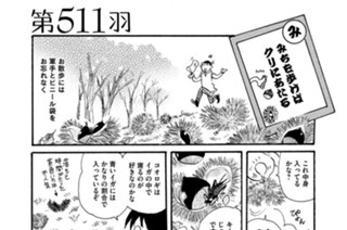 第５１１羽 표지