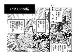 プ～ねこ（１６２） いきもの図鑑 표지
