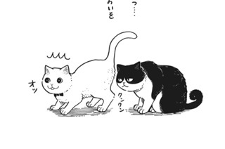 5화 番外編１ 표지