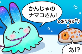 おまけ９ ジャノメナマコ 표지