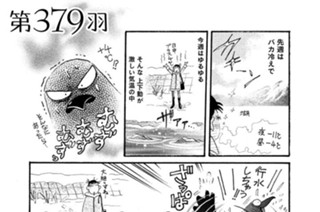 第３７９羽 표지
