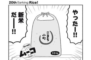 20화 ２０ｔｈ Ｂａｒｋｉｎｇ：Ｒｉｃｅ！ 표지