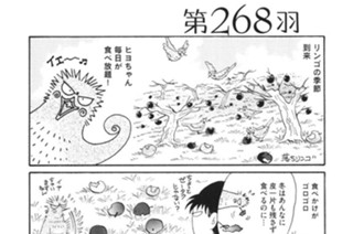 第２６８羽 표지