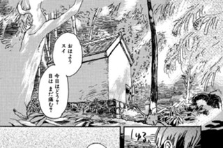 瞼の光 표지