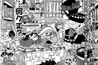 第２４５話 ムジナイヌ 표지