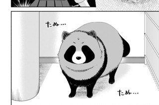 3화 1球目-3 たぬきだ！ 표지