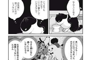 87화 番外編42 なまぬるい夢 표지