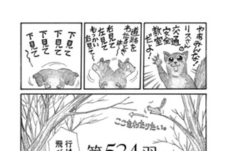第５３４羽 표지