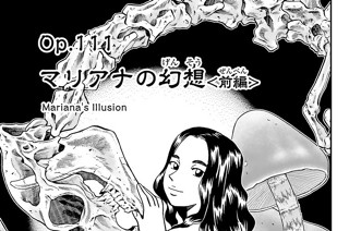Ｏｐ．１１１ マリアナの幻想 ＜前編＞ 표지