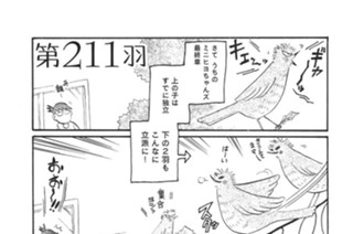 第２１１羽 표지
