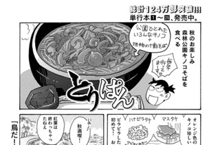 第７０６羽 표지
