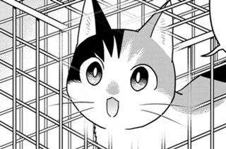 41화 【最終話(1)】マイクロチップ 표지