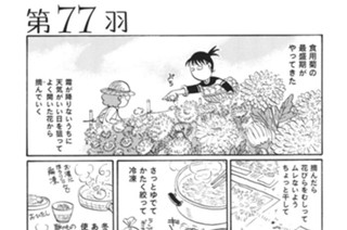 第７７羽 표지