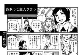 プ〜ねこ（１４） 표지