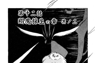 第十二話 翔魔採生の章 其ノ二 표지