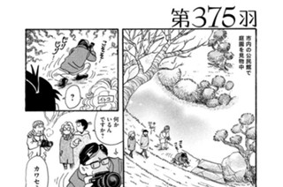 第３７５羽 표지