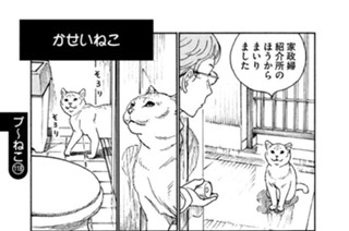 プ〜ねこ（１１８） かせいねこ 표지