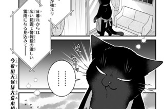 【111缶め】 표지