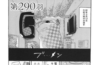 第２９０羽 표지
