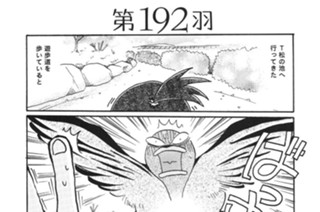 第１９２羽 표지