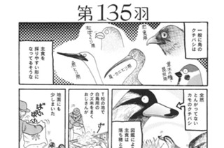 第１３５羽 표지