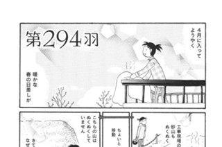 第２９４羽 표지