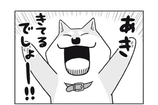 5화 ５ｔｈ Ｂａｒｋｉｎｇ：Nａｎｏｈａ！ 표지