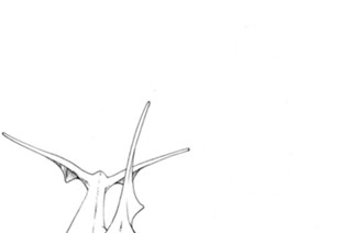 chapter.109 僕の歌は、君の歌 표지