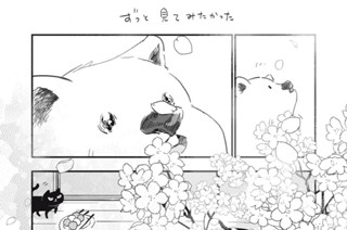 30화 ６．５時間目③ 표지