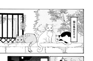 第１１９話 猫集会 표지