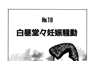 白昼堂々妊娠騒動 표지