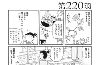 第２２０羽 표지