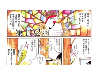第１０２羽 표지