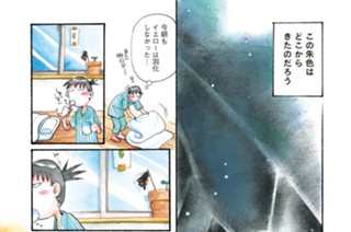 第４９２羽 표지