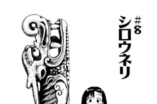 ＃8 シロウネリ 표지