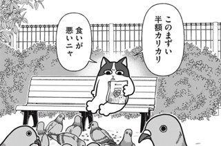 第８話 猫と近隣住民 표지