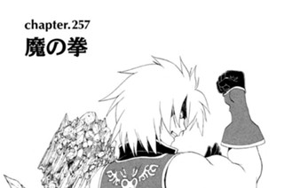 chapter.257 魔の拳 표지