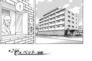 第２４６話 ペット（後編） 표지