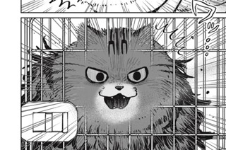 第４４話 それぞれの新生活 표지