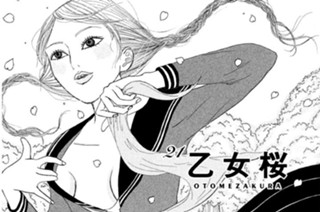 21화 ２１ 乙女桜 ＯＴＯＭＥＺＡＫＵＲＡ 표지