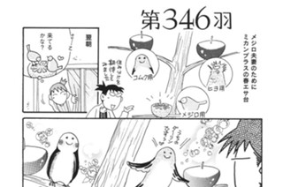 第３４６羽 표지