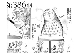 第３８６羽 표지