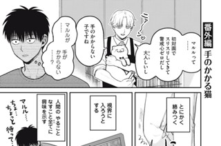 47화 番外編24 표지
