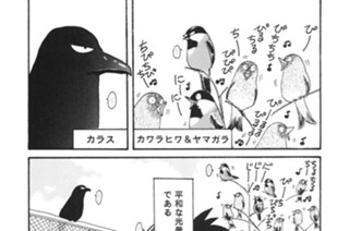 第２９５羽 표지