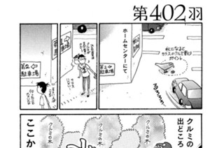第４０２羽 표지